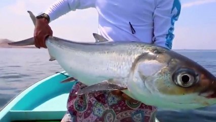 Fly olta ile denizde balık yakalanır mı