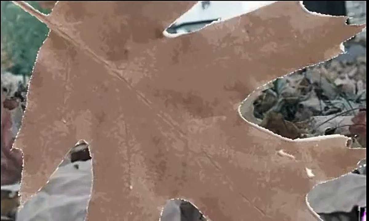 Portishead - Western Eyes