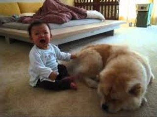 Baby tries to wake up sleeping dog - Let's play!