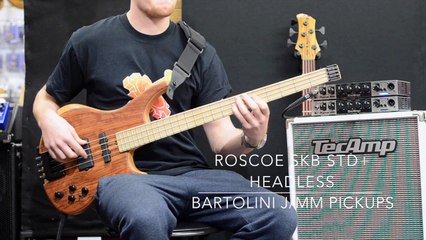 Roscoe SKB STD+ headless 4 at Bass Direct UK