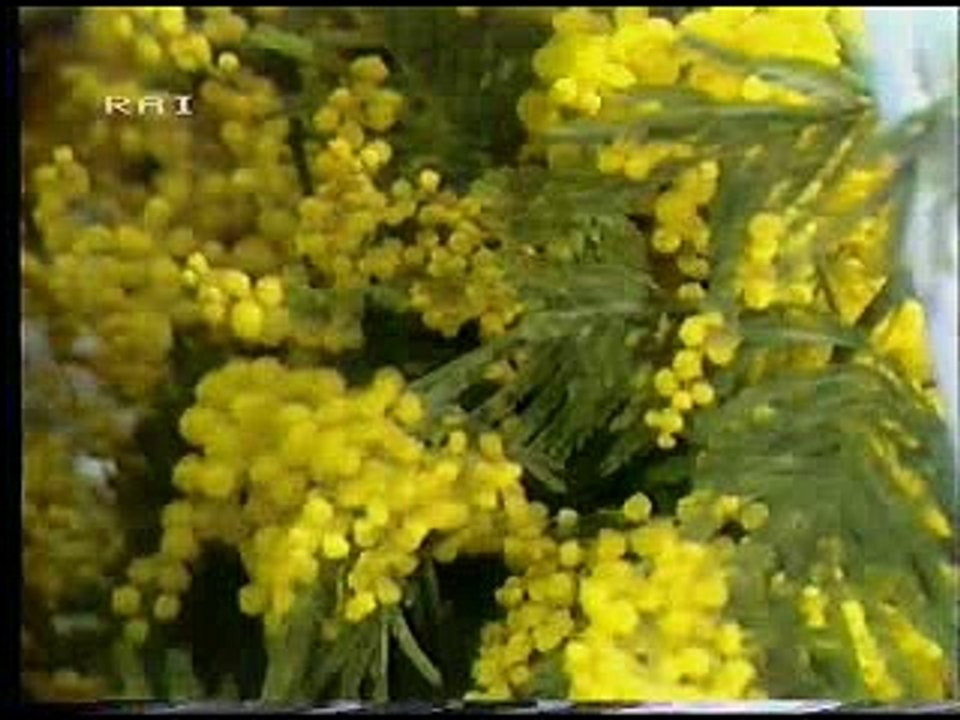 Loretta Goggi - Slowly