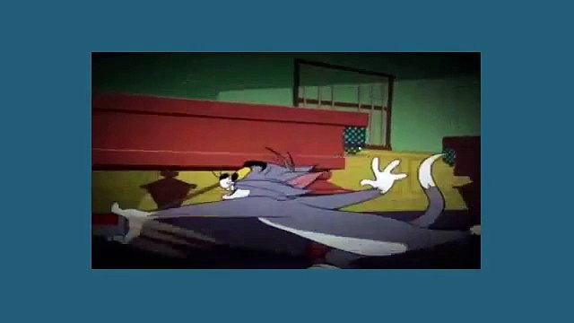 Tom And Jerry Cartoon - Of Feline Bondage