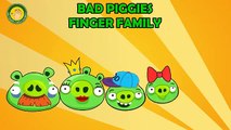 BAD PIGGIES Finger Family Nursery Songs By MY FINGER FAMILY RHYMES