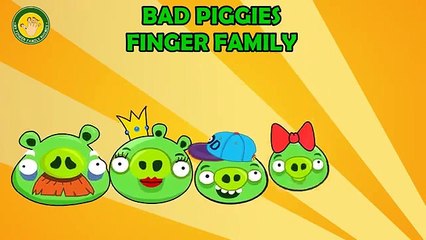 BAD PIGGIES Finger Family Nursery Songs By MY FINGER FAMILY RHYMES