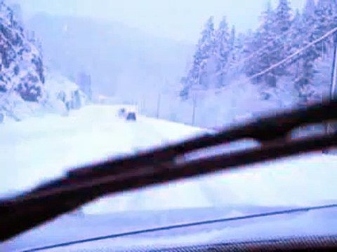 british columbia bigfoot sighting