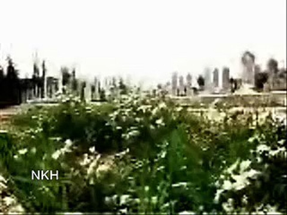 محمد مهدي الجواهري - من قصيدة المقصورة