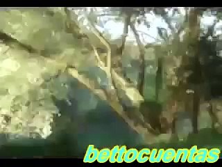 2012: (lo que realmente sucedera) profecia maya