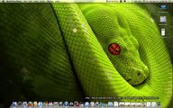 Mac OS X Snow Leopard Tricks