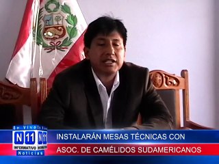 N11 Informativo INSTALARAN MESAS TECNICAS CON ASOCIACIONES DE CAMELIDOS SUDAMERICANOS