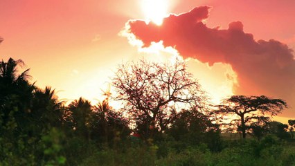 We Rescue: A True Sanctuary