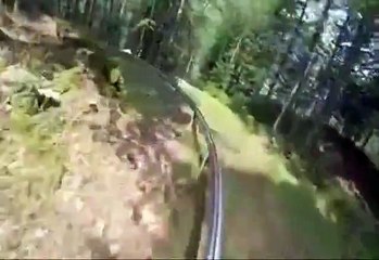 Sacrée descente dans la forêt
