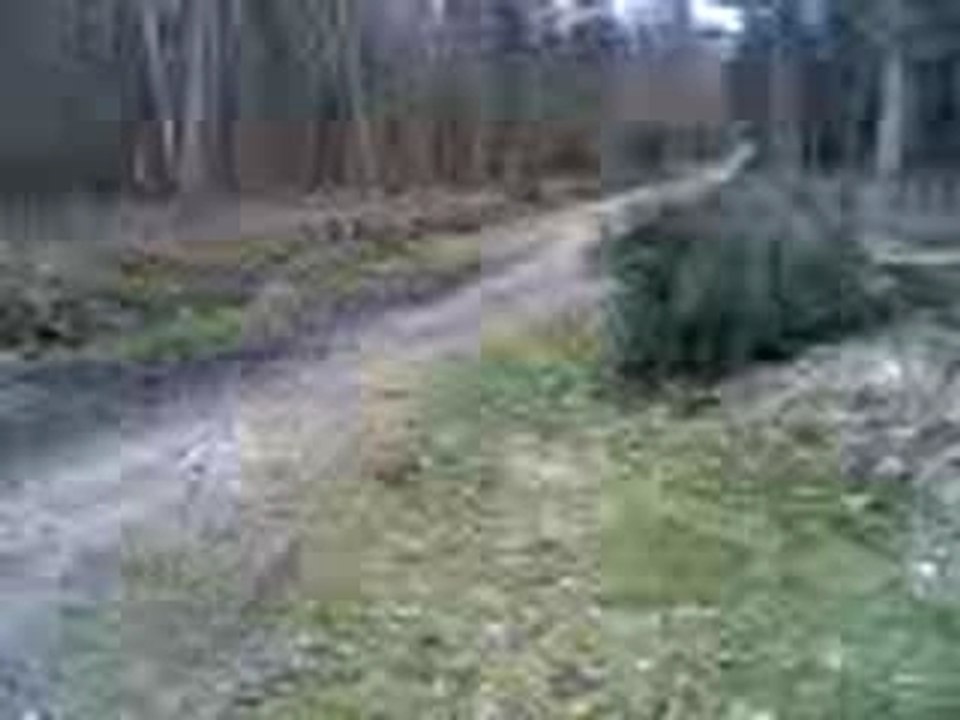 Dirt