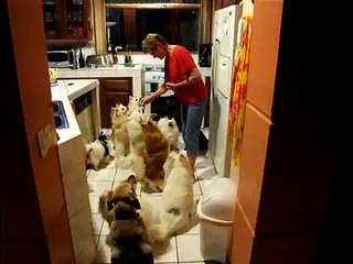 Treat time at Lighthouse Animal Rescue Shelter