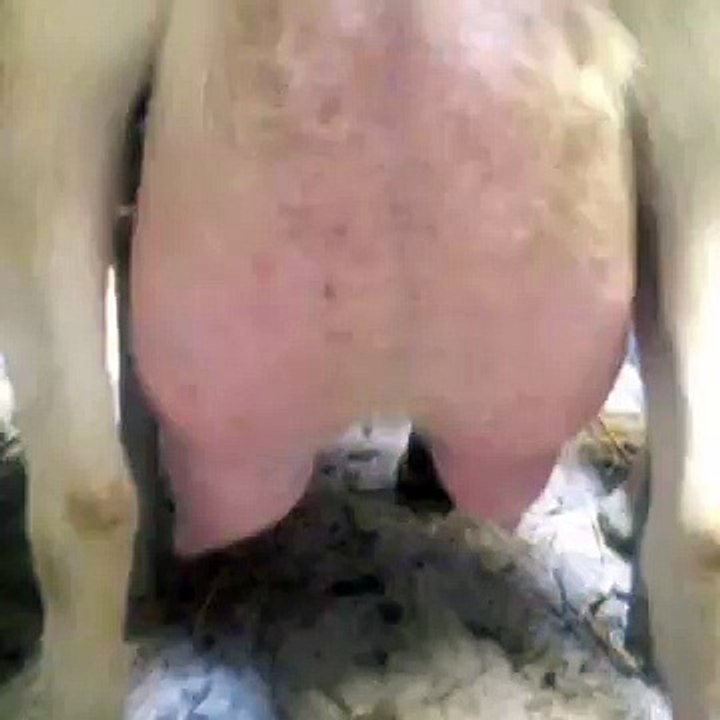 Open your mouth for a squirt of goats milk !