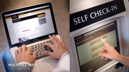 Fly Economy Class on Etihad Airways