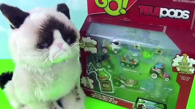 Grumpy Cat Doesn t Like Shopkins Fluttershy MLP LPS Digibirds Angry Birds