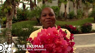 Exuma Bahamas HD