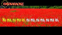 Gabry Ponte Dragostea Din Tei Karaoke Remix