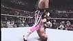 Shawn Michaels vs. Bret Hart - Survivor Series 1992