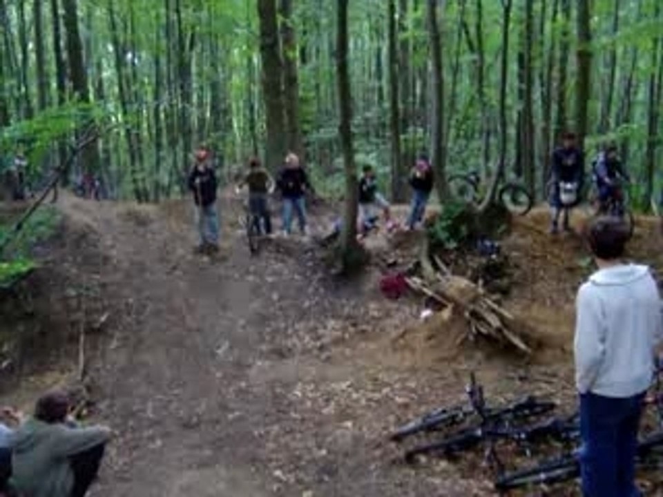 Yann crash