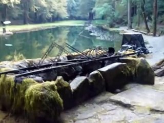 Hannity invited to Bohemian grove...