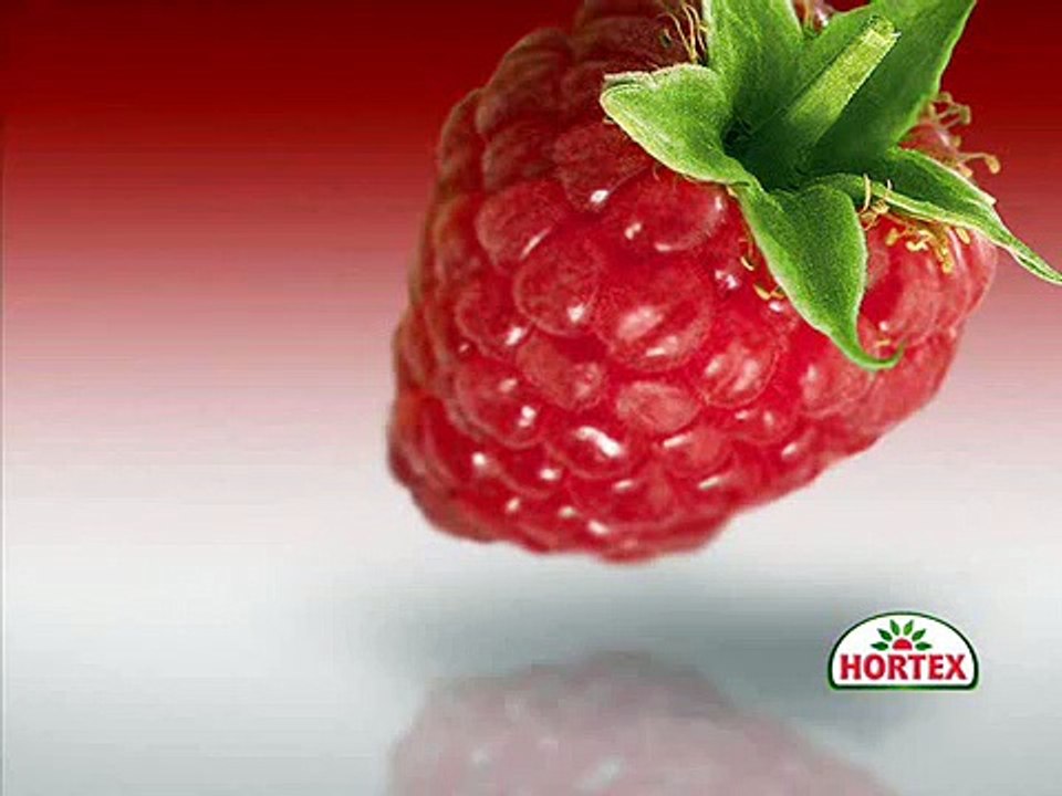 Piosenka z reklamy Hortex (pełna wersja)