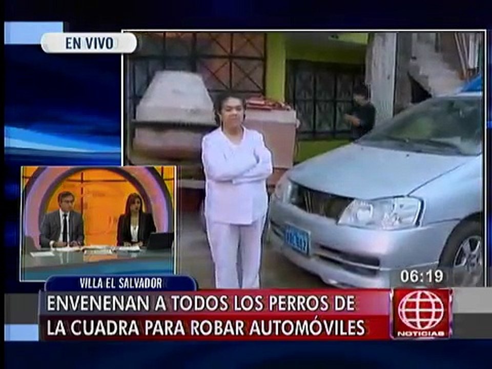 VES: delincuentes envenenan a siete perros para robar casas