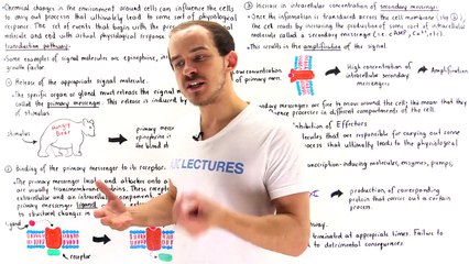 Signal Transduction Pathways