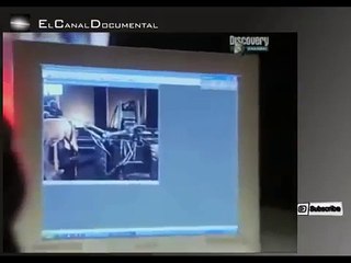 Documental - 07 "¿Quien gobierna Siberia? - Tigre siberiano vs Oso pardo" P(4/5) La Sexta