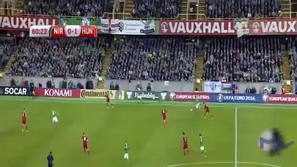 Chris Baird Double Yellow Card for Northern Ireland