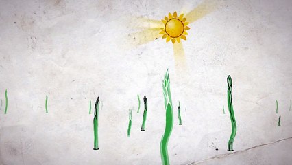 CHURCH PLANTING WORLDWIDE