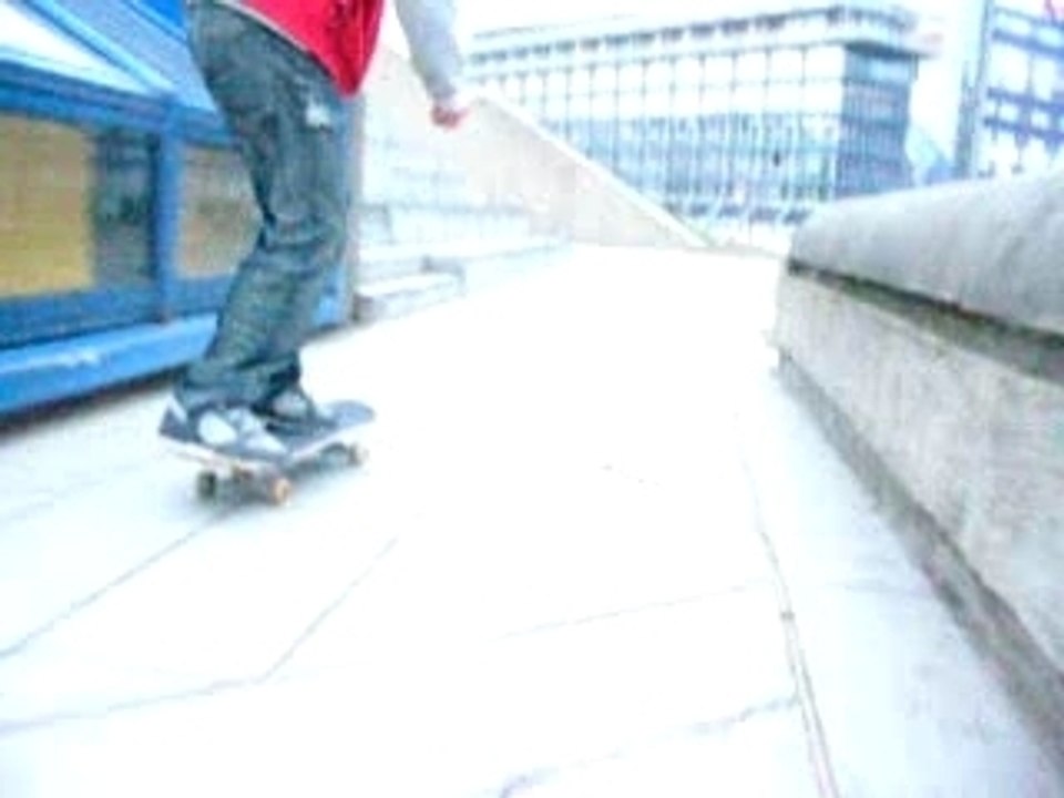 ROMAIN SKATE