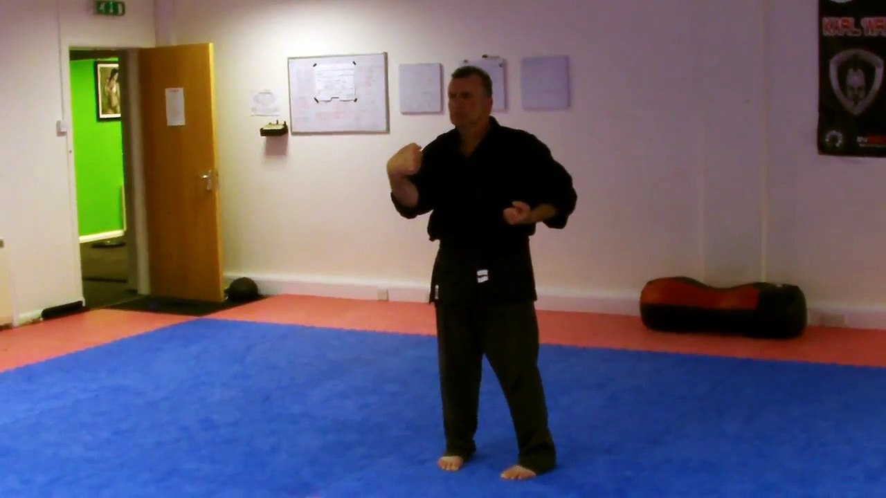 Fung Sau Combat Kung Fu sil lim tao katas
