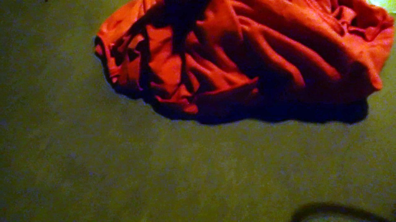 P9090200