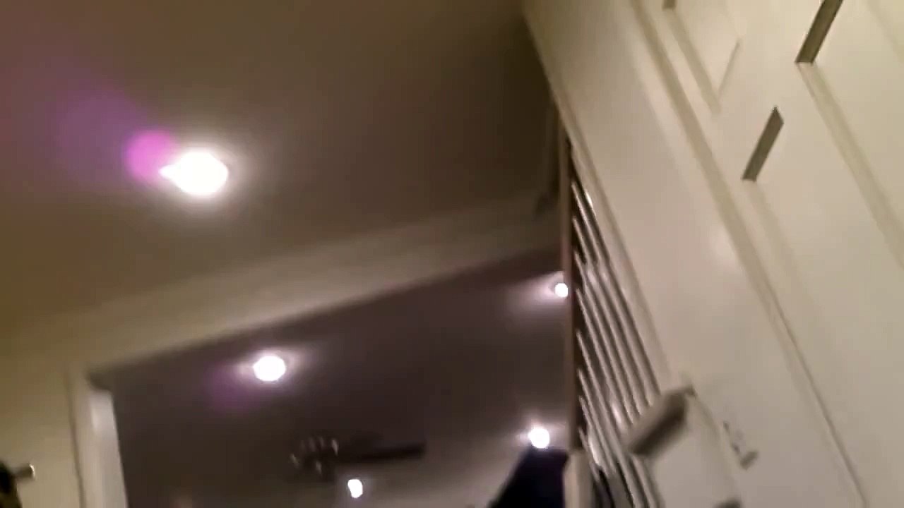 Racist Dog