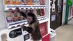 Funny Videos - I Like To Move It - Monkey Dance!! LOL xprovideo