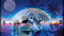 Aloha Moonlight Stroll - Romantic Hawaiian Instrumental