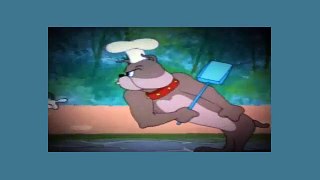 Tom And Jerry Cartoon - Barbecue Brawl