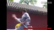 1652 Sanda kickboxing routine Taekwondo Tai Chi chapter of basic training somersault show instructio