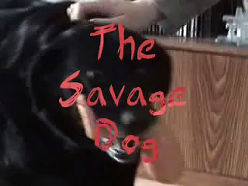 Savage Dog