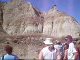 Life in the Alberta: Geology and Dinosaur Fossils in the Badlands