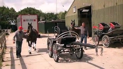 Topspeed driving horses 8