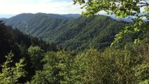 Smokies from Newfound Gap
