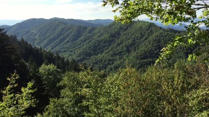 Smokies from Newfound Gap