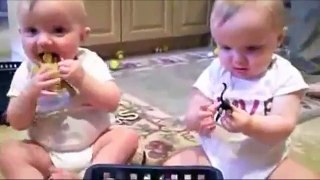 Funny Clip - Baby Dance - Adorable Puppy Attacks Baby - Mom Cat Really Wants Kitten Back