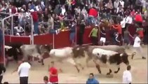 Funny videos People fail bull fighting Funny Animals videos Bull Fails Videos