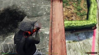 GTA 5 FUNNY WTF/FAIL MOMENTS PART 8