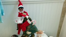 Christmas day 18: MY ELF ON THE SHELF CAUGHT IN THE ACT GOING POOPY ON THE POTTY