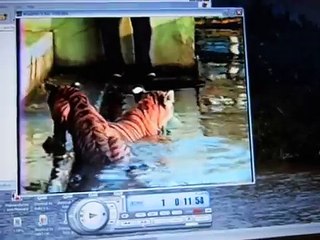 Zoologico a cancun a pepes dijo la perra hija de la chin.....Sara Rincon