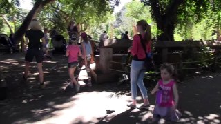 Kids View: Perth Zoo (Insider tips from local kids)